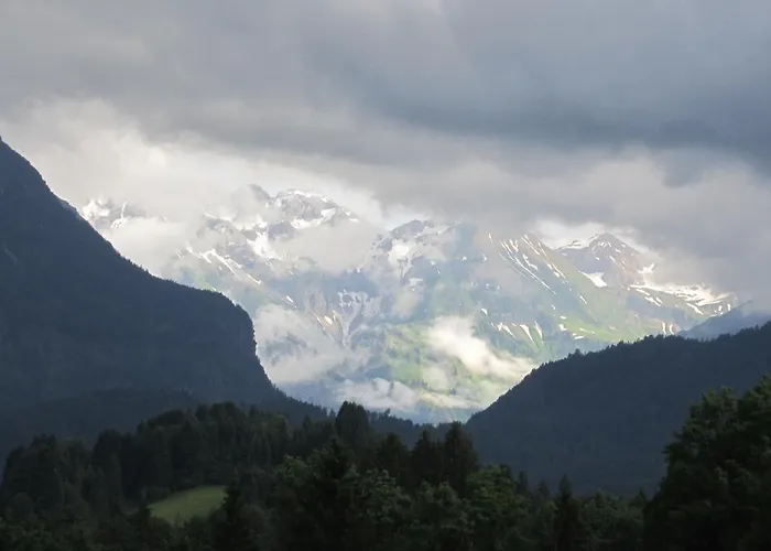 Eggensberger *